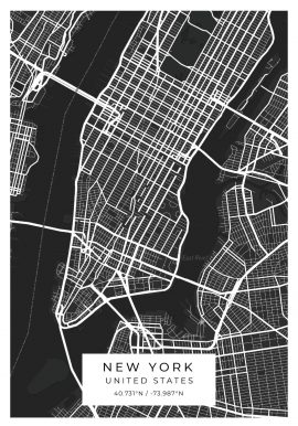 New York Black and White Poster