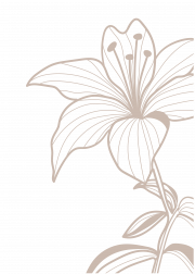 http://Botanical%20Art%20Poster%20No2