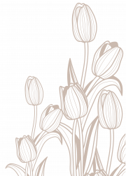 http://Botanical%20Art%20Poster%20No3