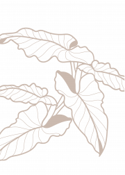 http://Botanical%20Art%20Poster%20No4