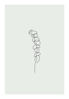 Eucalyptus Flower Poster