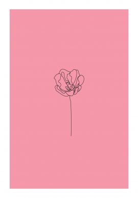 Poppy Flower Poster